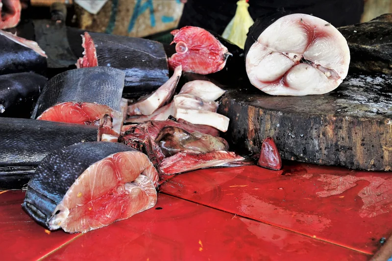 Préparer le support : la clé d'une peinture durable