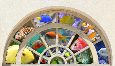 la fenêtre