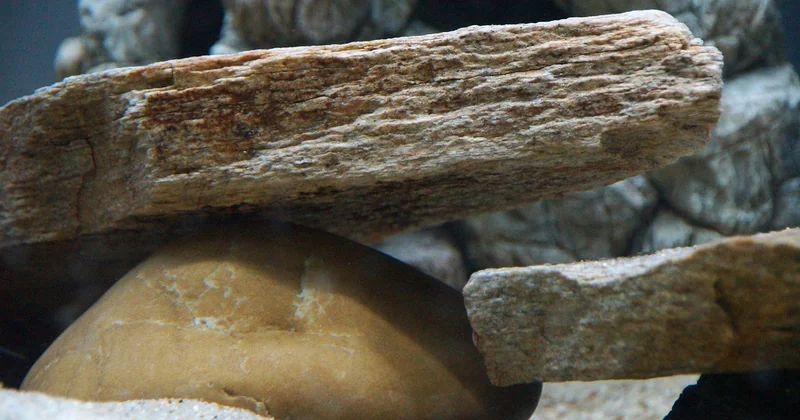 Les grands types de pierres pour aquarium d'eau douce (et ce qu'ils font à votre eau)