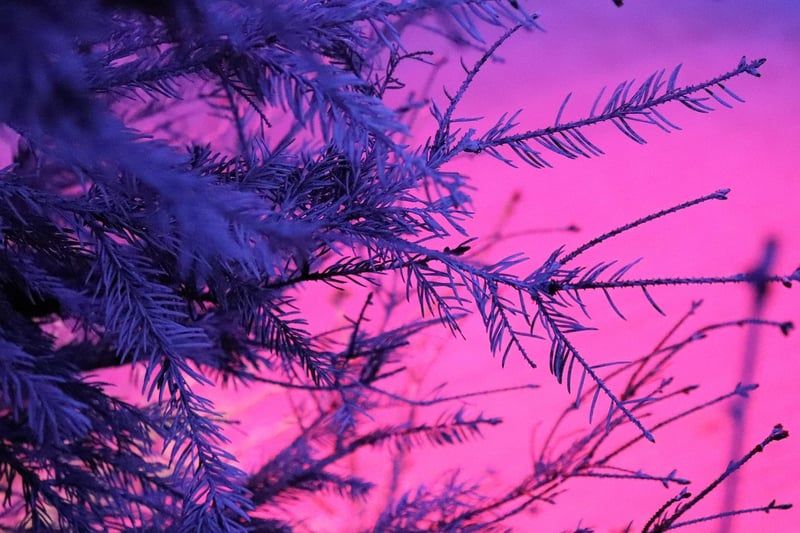 Deco soleil : 15 idees lumineuses pour transformer votre interieur