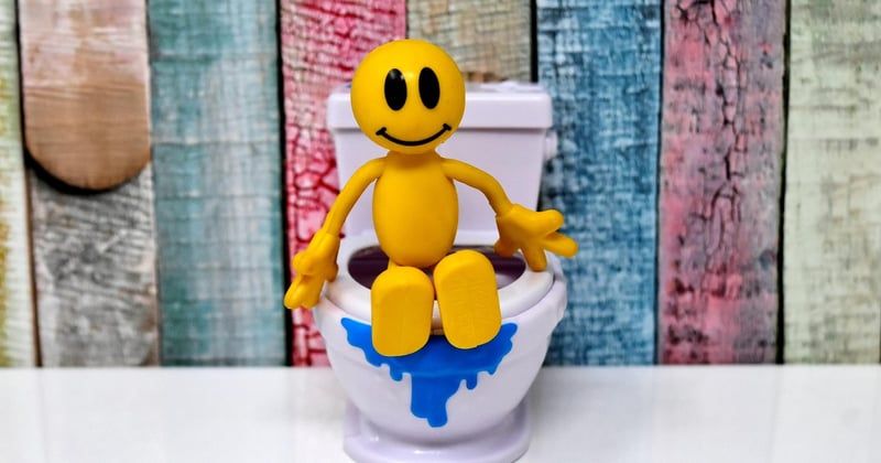 Vers dans les toilettes : causes, solutions et quand s'inquiéter