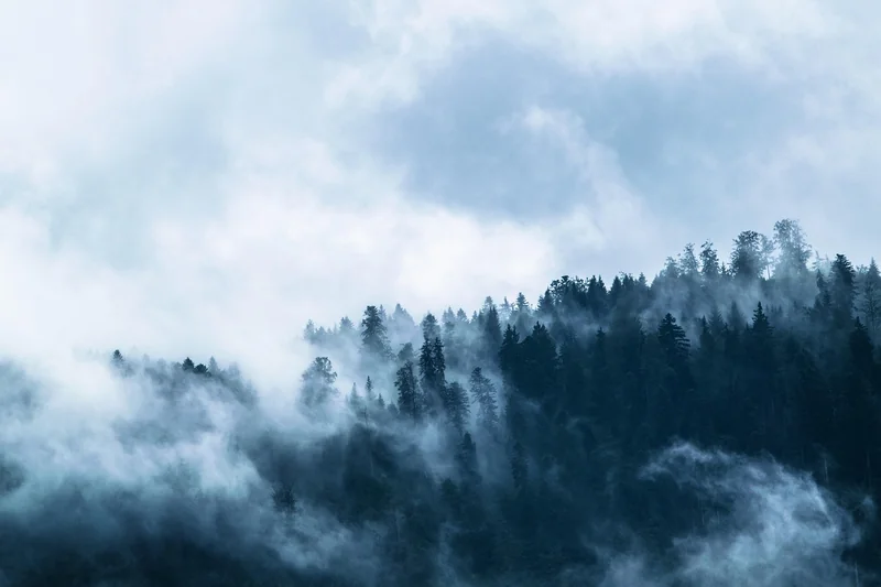 Choisir le bon équipement : forets et embouts